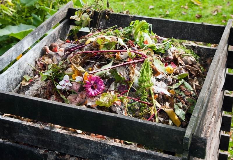 Why Are Somethings Bad For The Compost