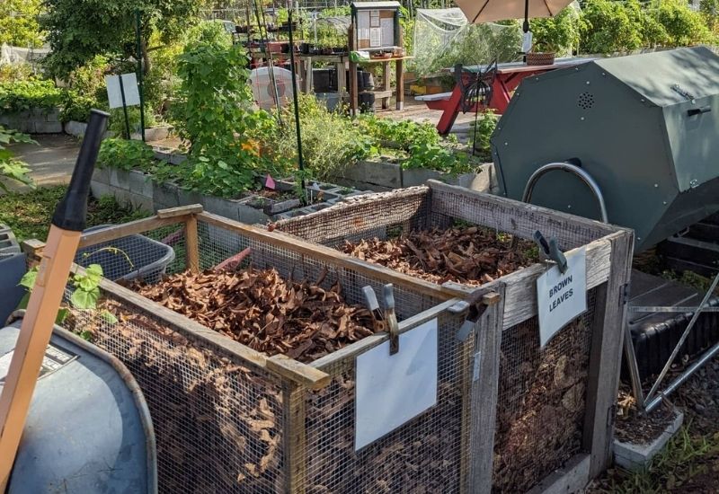 How To Compost Dry Leaves In A Bin Or Pile