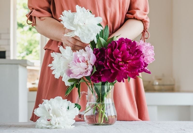 How To Get Ants Off Cut Peonies Before Bringing Them Inside