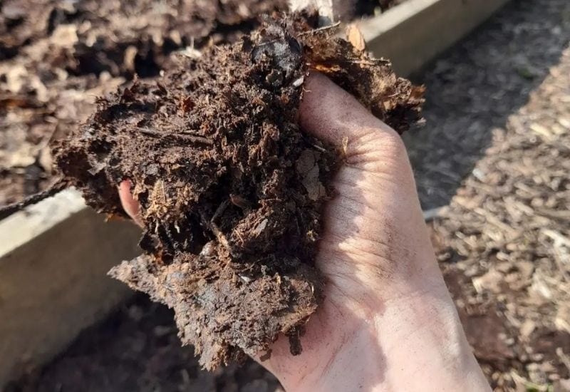 Top 24 How to make leaf mold 4 How To Compost Leaves And Make Quick And Easy Leaf Mold