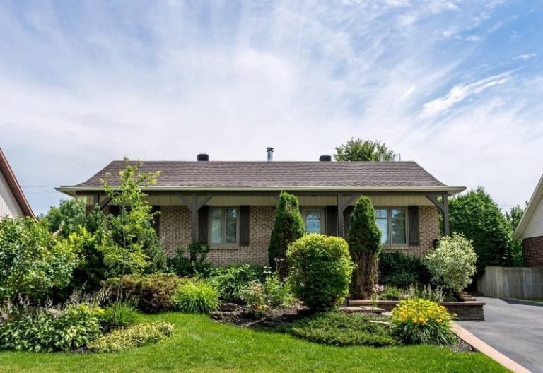 16 Low-Growing Foundation Shrubs to Plant in Front of Your House