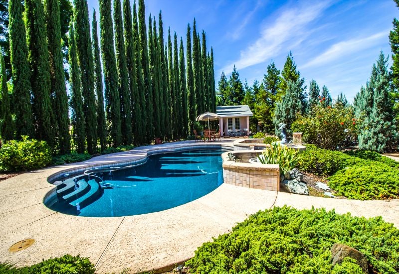 Slender Trees for Poolsides