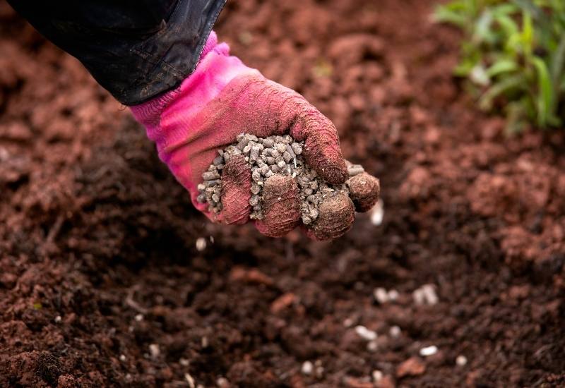 Ways to Add Calcium to Soil