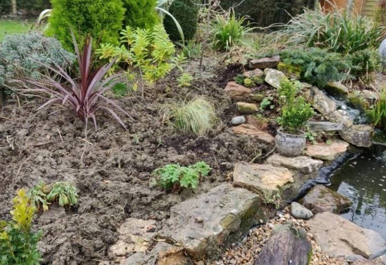 8 Practical Tips for Improving Heavy Clay Soil in Your Garden