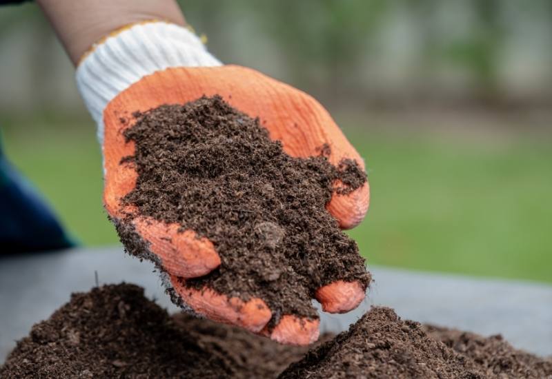 How to Improve Clay Soil