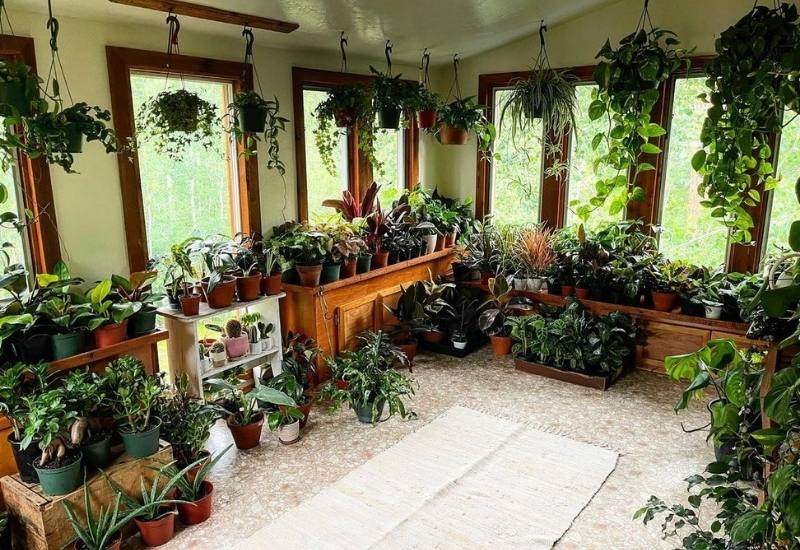 Home Decoration Ideas Using Indoor Plants | Plants Information