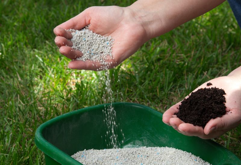Plant Food Vs Fertilizer: They're Not the Same Thing