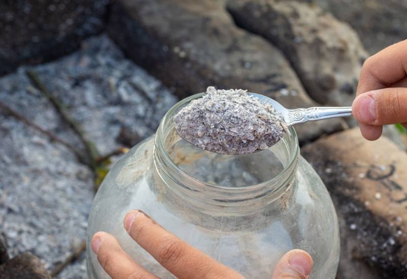 Wood Ash: The Secret Weapon for Your Garden… Or a Potential Disaster Waiting to Happen?! 5