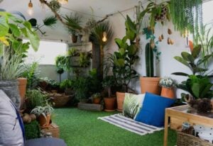 Low Light Indoor Trees