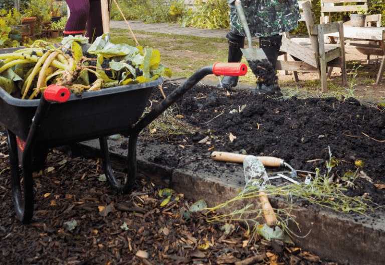 10 Easy Ways To Improve Your Garden Soil Over Winter