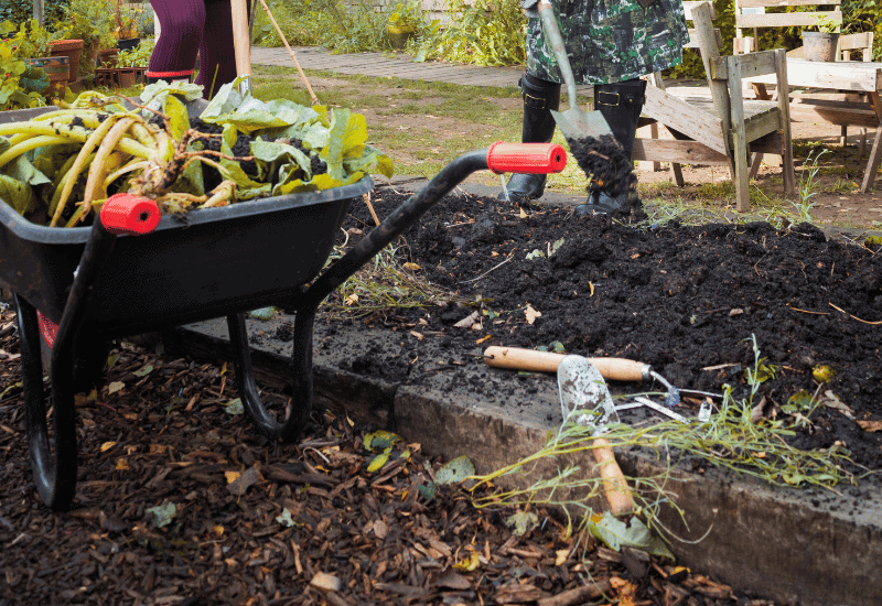 Easy Ways To Improve Your Garden Soil Over Winter