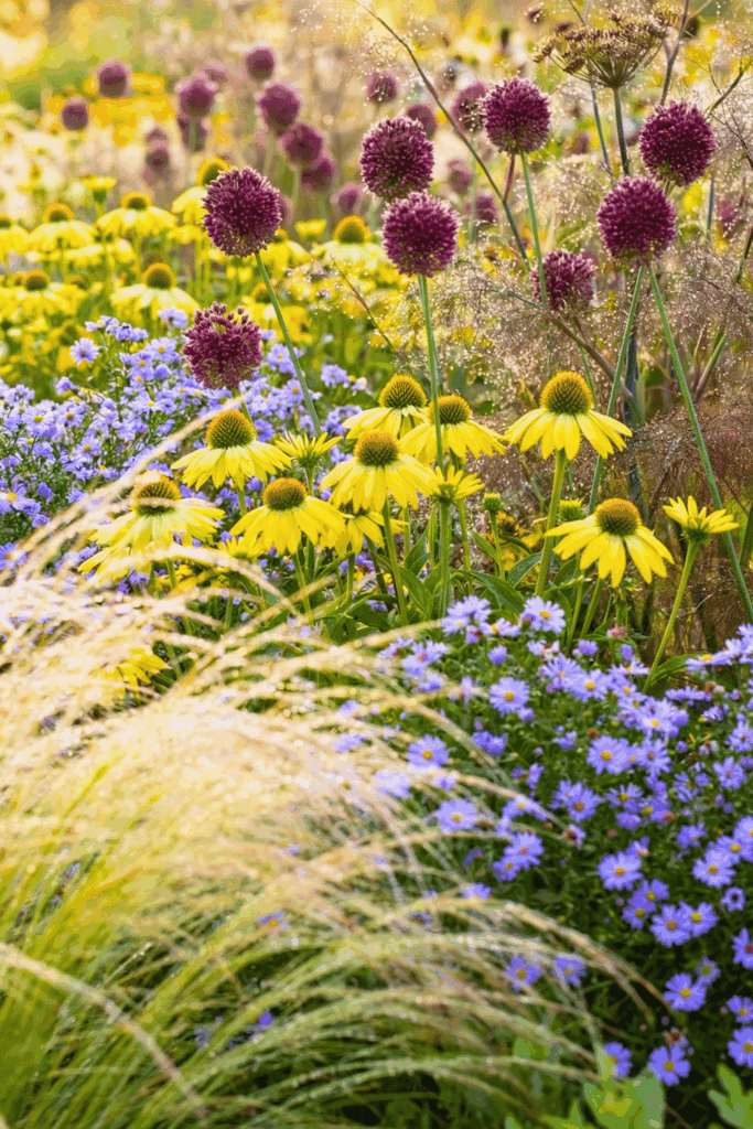 20 Yellow Flowering Perennials To Add a Ray of Sunshine to Your Garden 12