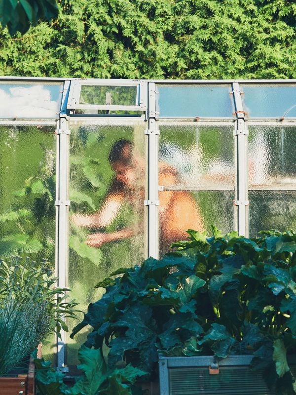 Clean out the greenhouse