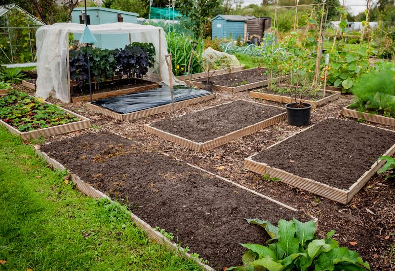 Prepare your vegetable beds for Spring planting