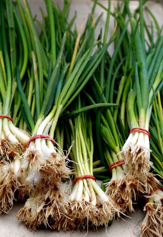 Scallions (Green Onions)