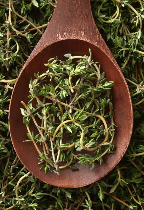 Thyme