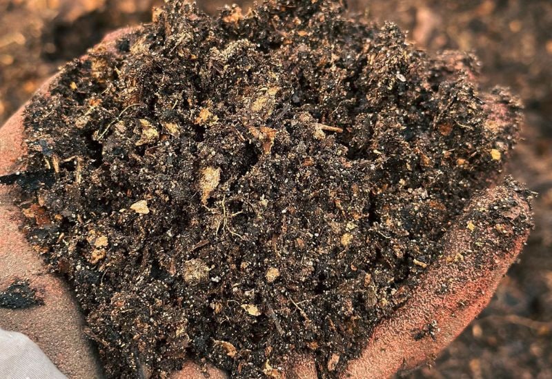 4 Sustainable Peat Moss Alternatives for Healthier Soil and Happier Plants 6