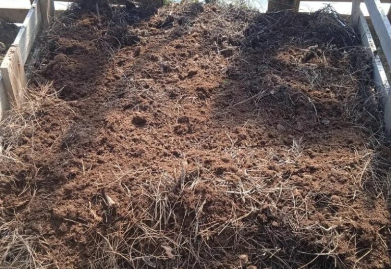 Best Peat Moss Alternatives for Sustainable and EcoFriendly Gardens