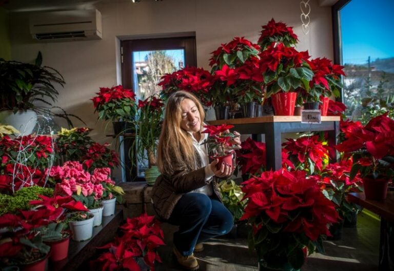 20 Striking Houseplants With Red Leaves To Add Drama And Flair To Your Indoor Garden