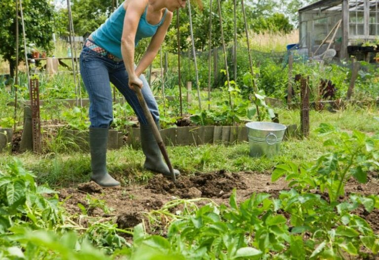 Clay Soil Got You Down? Here’s How to Improve Your Garden’s Soil Quality