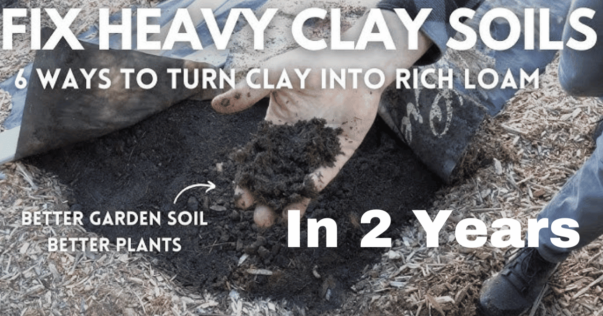 8 Practical Tips for Improving Heavy Clay Soil in Your Garden