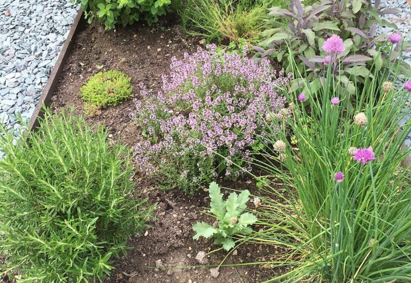 Allows you to grow more in a small space