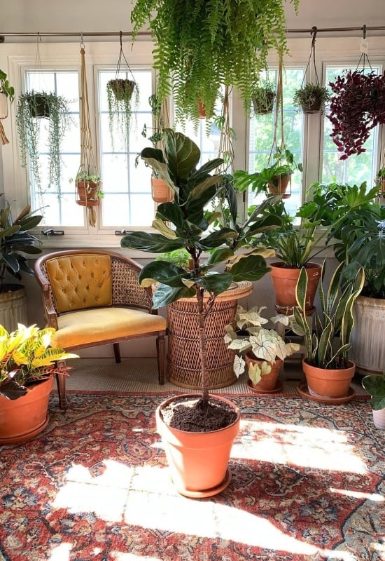 How Does Light and Season Affect the Amount of Water?