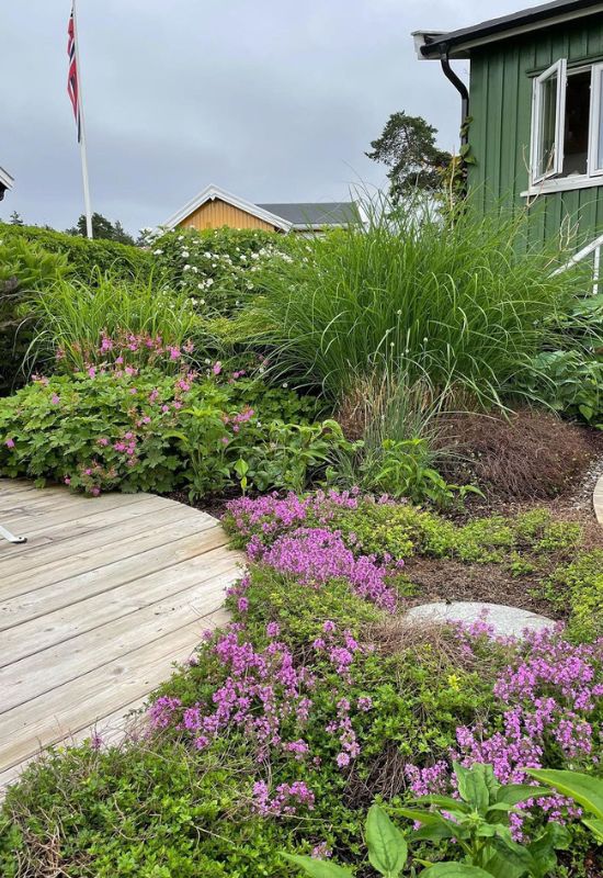 Plant, Eat, Repeat: 16 Best Edible Ground Cover Plants to Transform Your Yard into a Foodscape 1