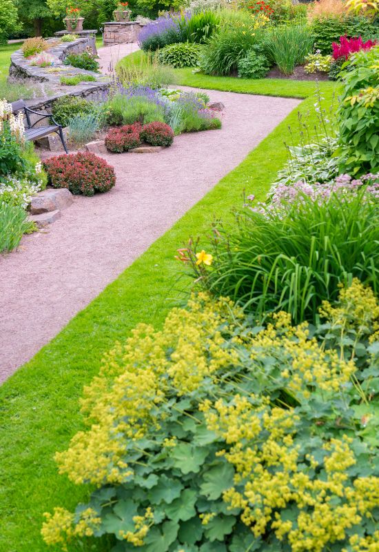 15 Enchanting Low-Growing Perennials to Beautify Your Garden Borders and Pathways 3 For Eye Level