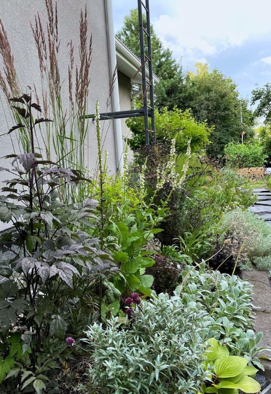 Utilize Low-Growing Perennials In Your Garden Design