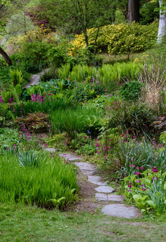 15 Enchanting Low-Growing Perennials to Beautify Your Garden Borders and Pathways 4 to Bring the Garden Together