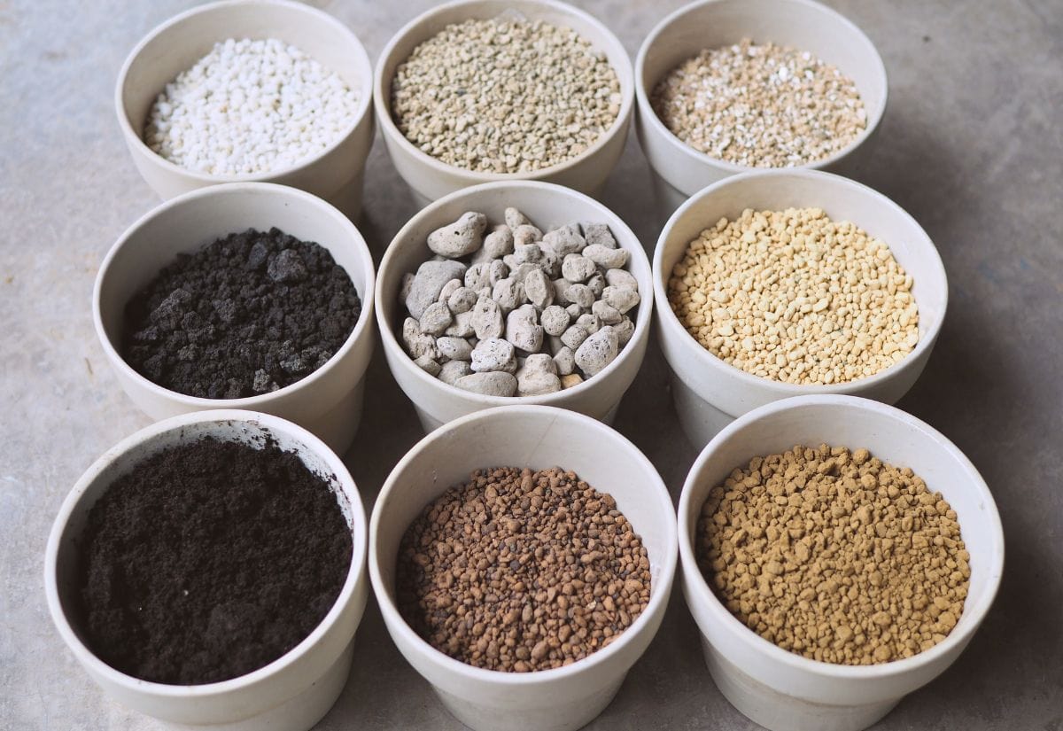 11 Best Organic Soil Amendments For Your Vegetable Garden