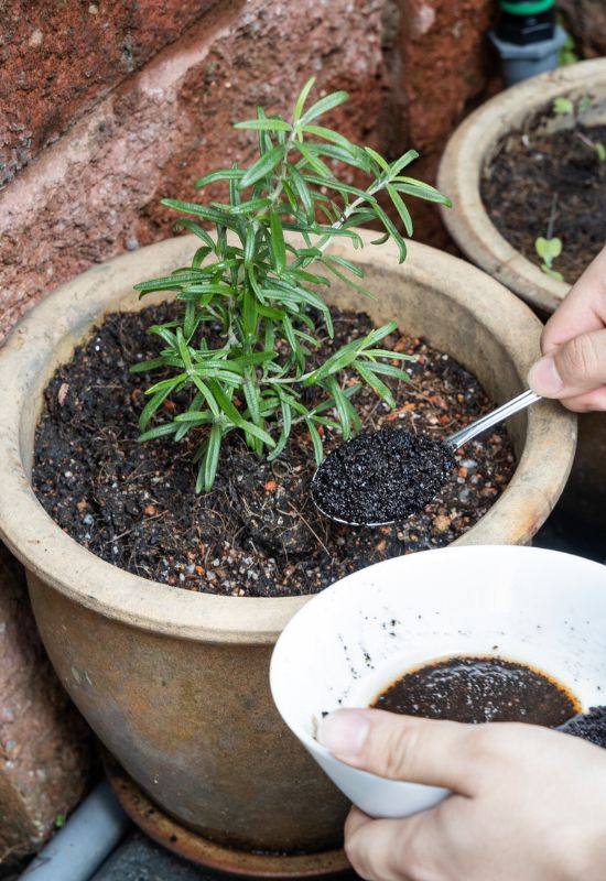 11 Best Organic Soil Amendments For Your Vegetable Garden