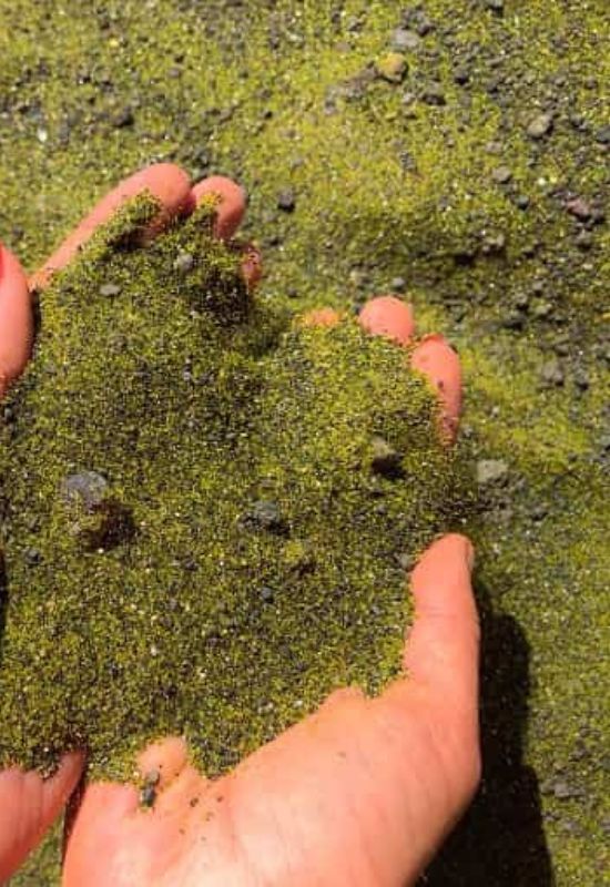 11 Best Organic Soil Amendments For Your Vegetable Garden