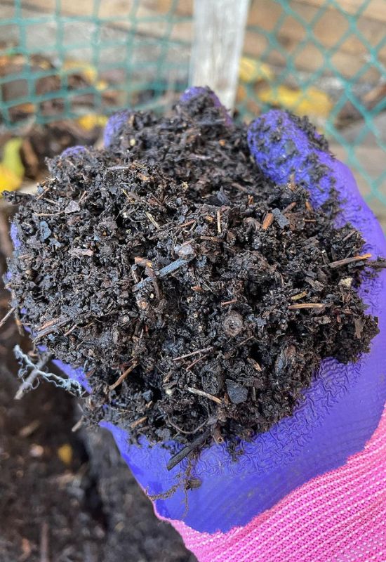 Leaves And Leaf Mould