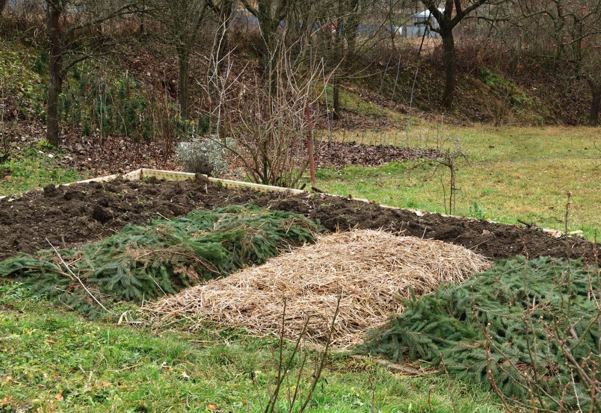 8 Reasons Why Your Garden Needs Mulch This Fall and How to Do It 3