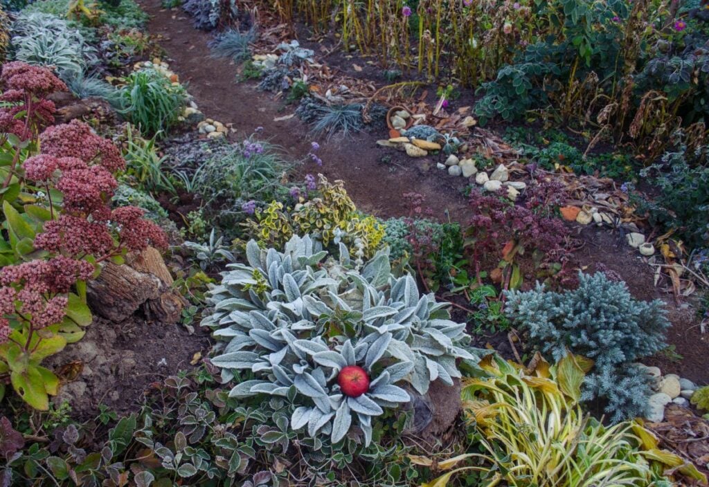 Must-Dos Garden Chores to Prepare Your Garden For Winter