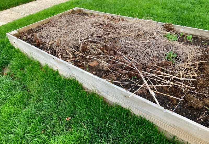 The Best Way to Mulch Your Garden in Fall