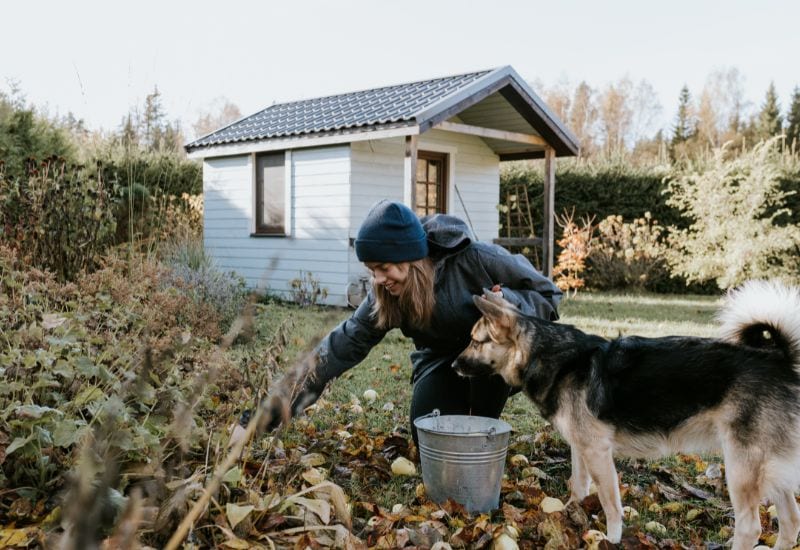 Cut Back Herbaceous Perennials