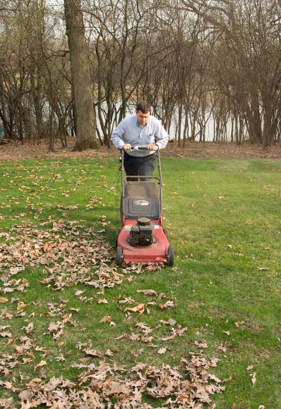 Shred The Leaves