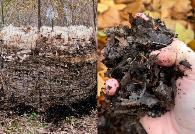 5 Easy Steps To Speed Up the Decomposition of Leaf Compost Piles