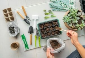 Must-Have Products for Starting Seeds Indoors