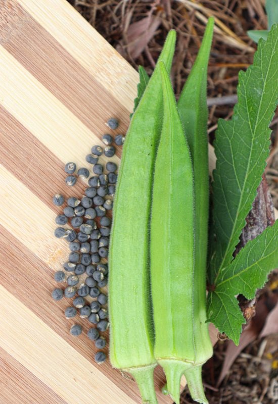 Okra 