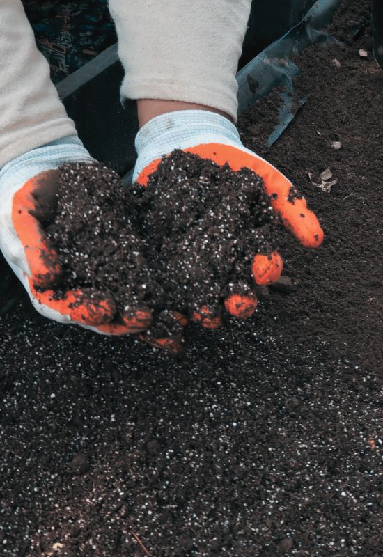 Use Seed Starter Potting Soil