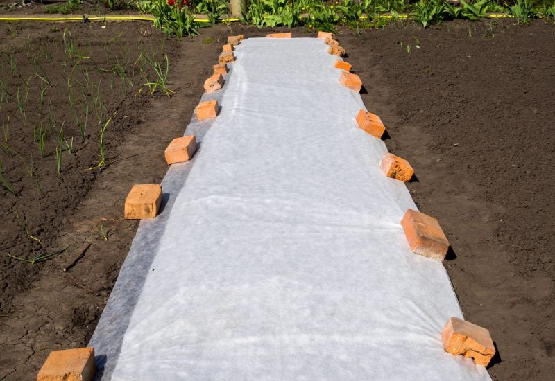 Have a Protective Cover Available