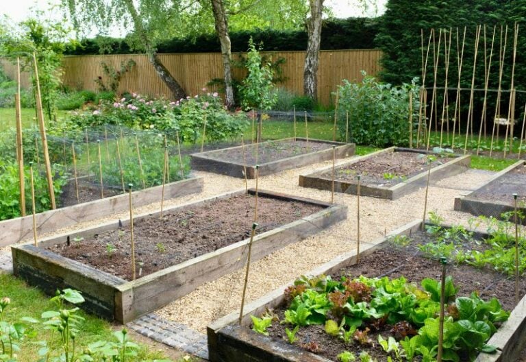 Plan Your 2024 Garden in 10 Easy Steps (1)