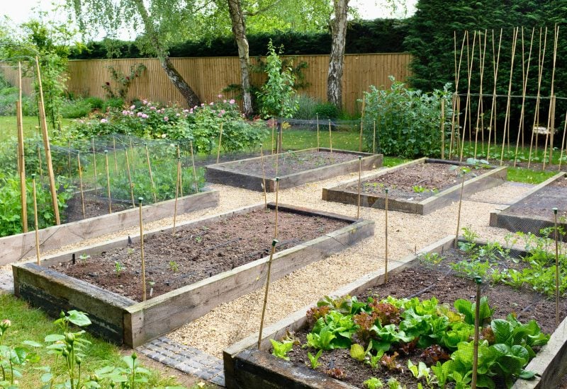 Plan Your 2024 Garden in 10 Easy Steps (1)