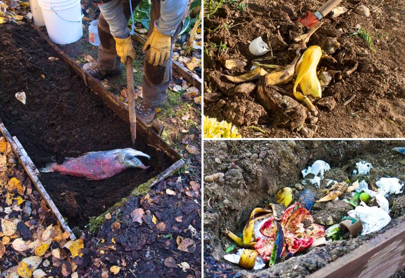 Surprising Items You Can Bury in Your Garden Soil