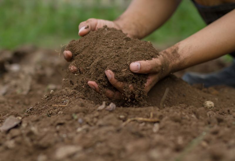 Test Your Soil