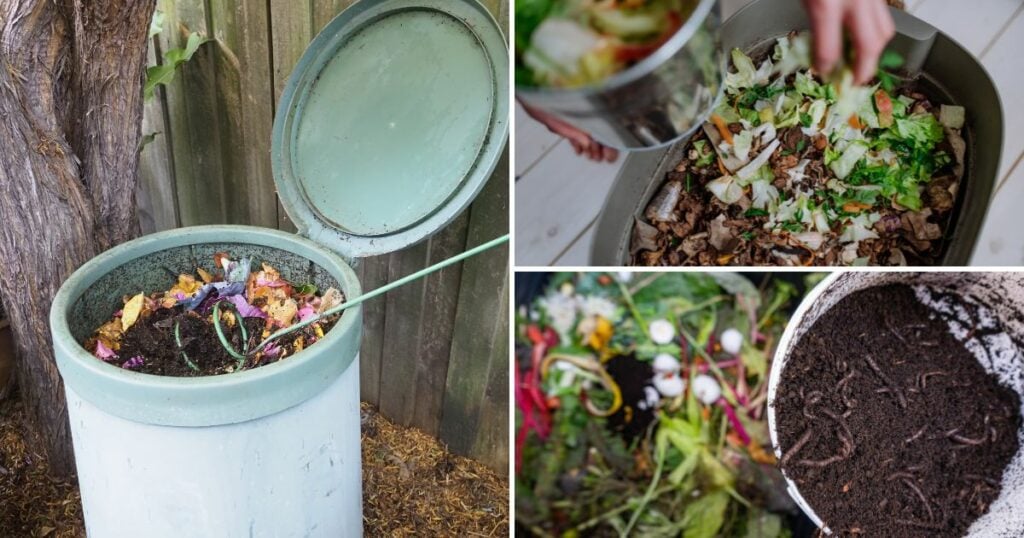 Stop! Don't Make These 5 Vermicomposting Mistakes If You Want Successful Composting! 1